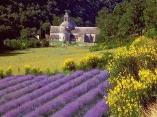 /user_images/33/thumb_provence_festoi_taja_01.jpg