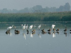 /user_images/54/thumb_20070910fertohans.jpg