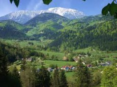 /user_images/55/thumb_sch_2.jpg