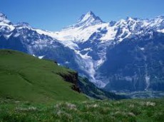 /user_images/55/thumb_sch_8.jpg