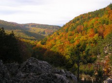 /user_images/58/thumb_austria-steinwandklamm-outlook.jpg