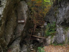 /user_images/58/thumb_austria-steinwandklamm-the-first-stairs.jpg