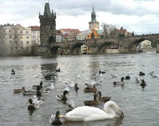 /user_images/6/thumb_praga_pilzen12.jpg