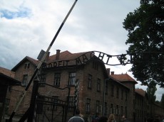 /user_images/9/thumb_krakkozakopane_12.jpg