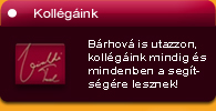Kollégáink